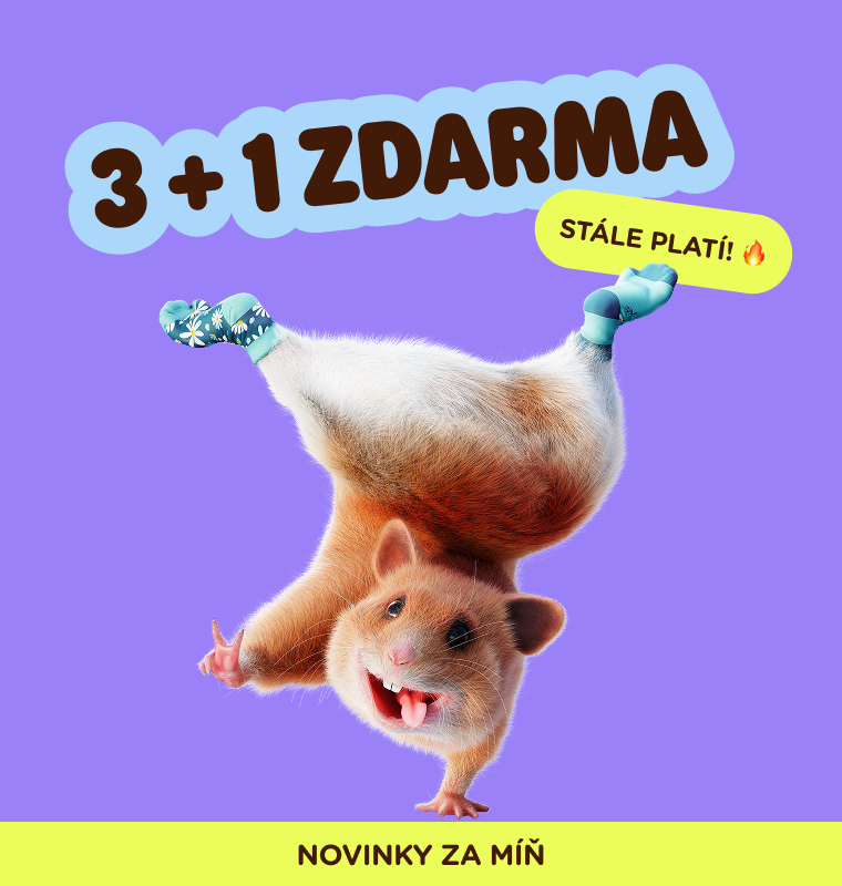  3 + 1 ZDARMA